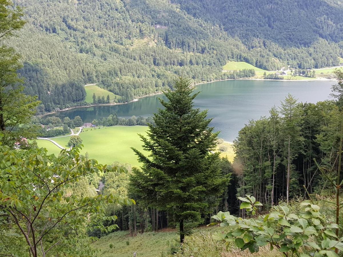Ferienwohnung Seeberg Mit Almfeeling Faistenau Luaran gambar