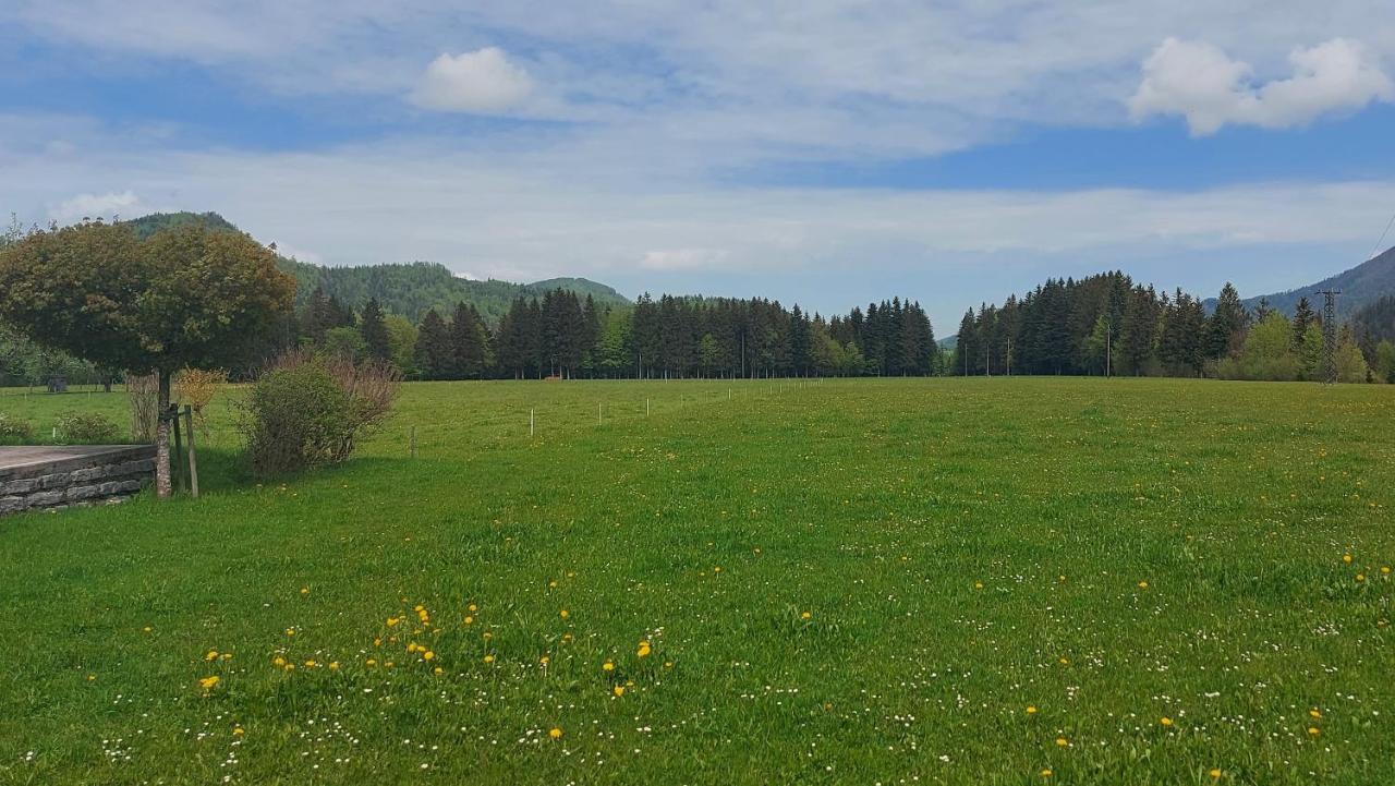 Ferienwohnung Seeberg Mit Almfeeling Faistenau Luaran gambar